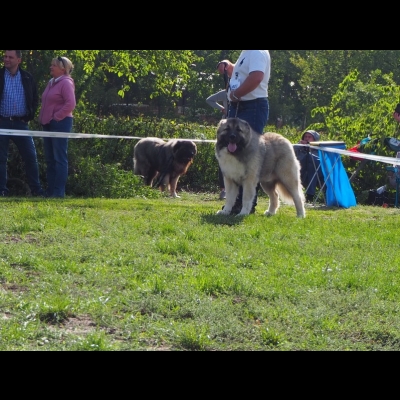 KWM WARSZAWA'19 - BALDUR